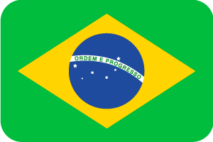 brazil-flag-airkeep-luggage-storage